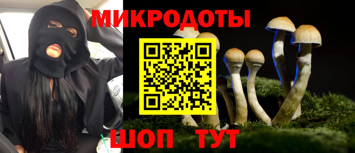 Галлюциногенные грибы Psilocybe  цены   Тавда  Вход с VPN 
