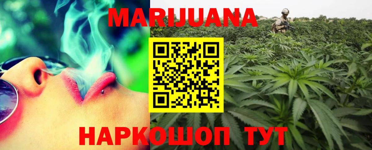 Конопля гибрид Тавда